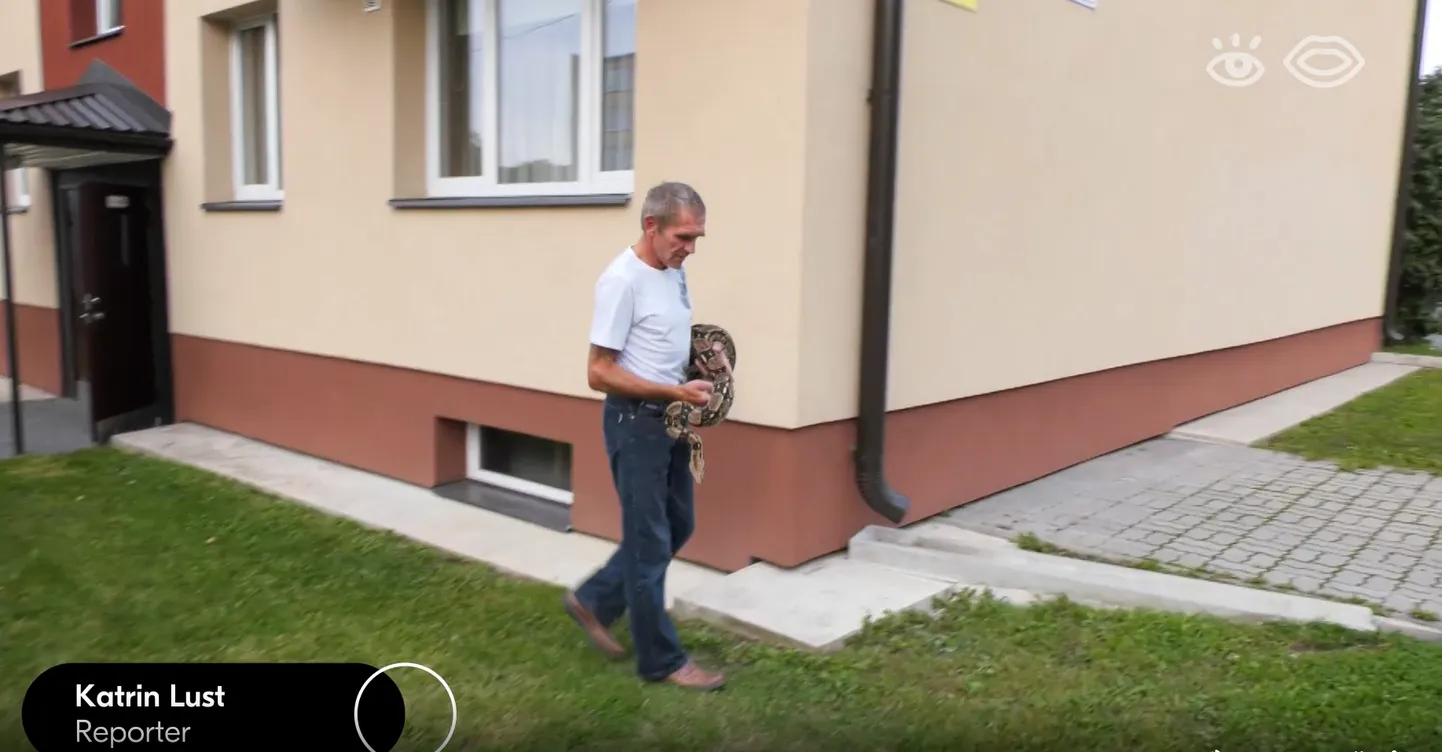 Скриншот из видео.