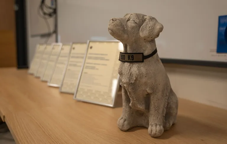 Labrador Timole tuli auhind üle anda postuumselt.