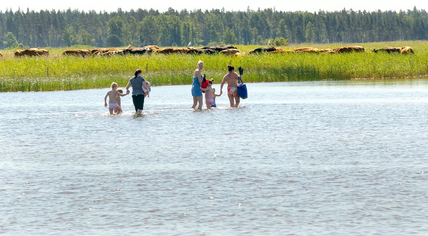 Raeküla rannas mõne aasta pärast võib-olla nii vabalt suplema minna ei saa.