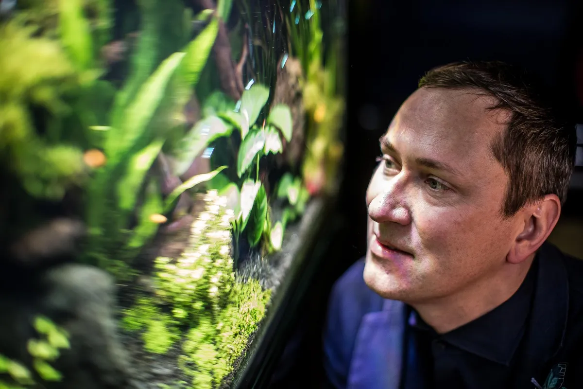Aldo Järvsoo tuliuus looming on inspireeritud tema akvaariumikirest. «Kõige julgemaid värvikombinatsioone näebki just looduses. Olen alati eelistanud kõiki teisi toone mustale. Pole ühtegi argumenti, miks elurõõmsaid ja värvilisi riideid peaks saama vähem kanda.»