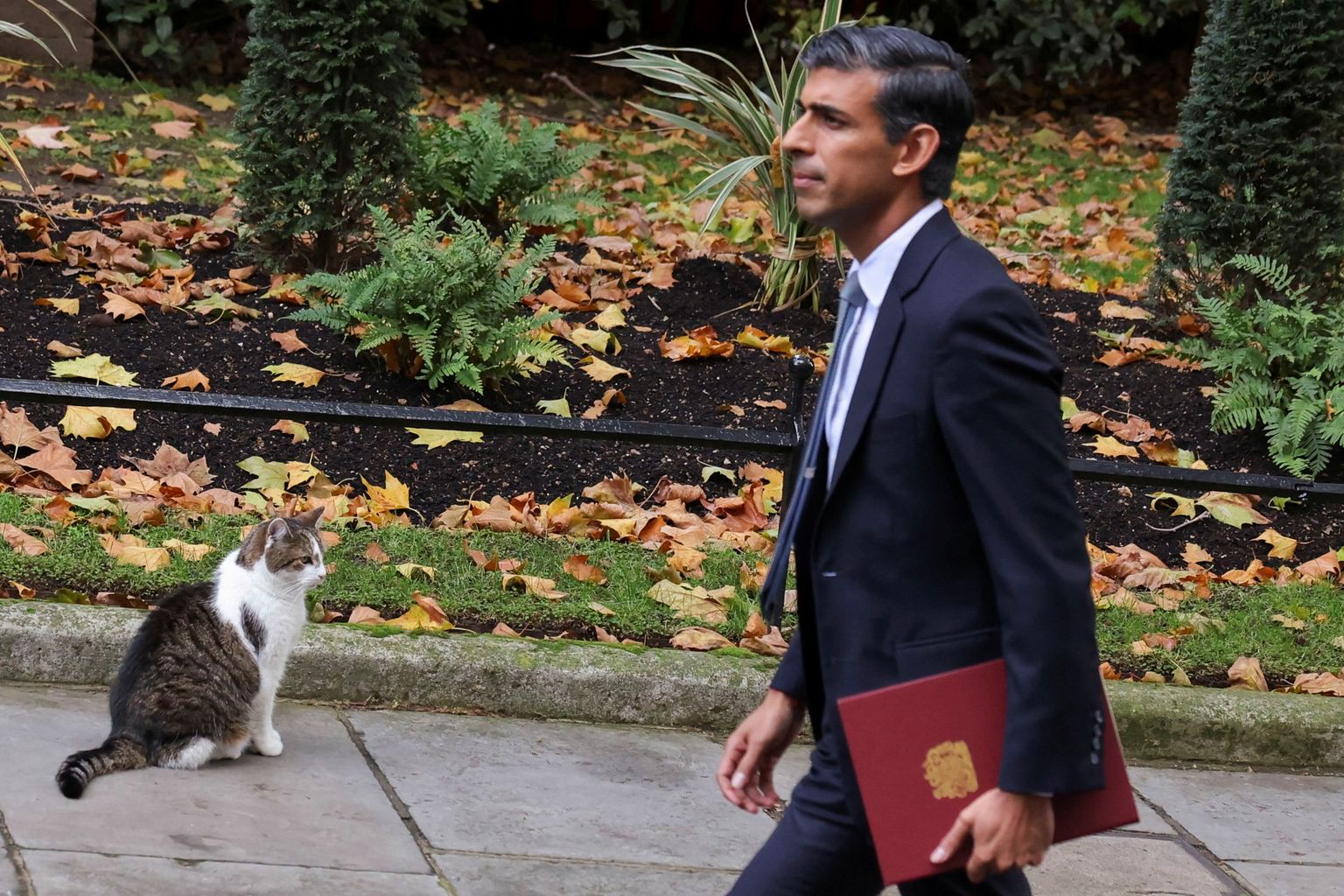 Suurbritannia uus peaminister Rishi Sunak astub peaministri residentsi suunas kohaliku kassi, Larry, terava pilgu all.