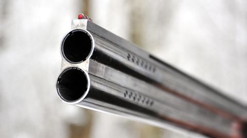 Ventspils novadā konstatē nelikumīgas medības no braucoša autotransporta