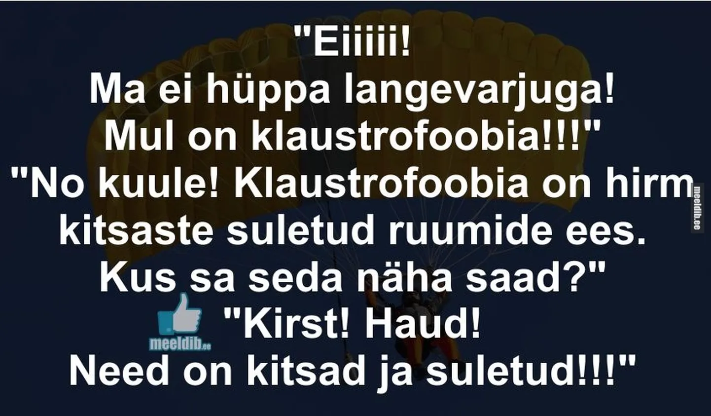 Artikli foto