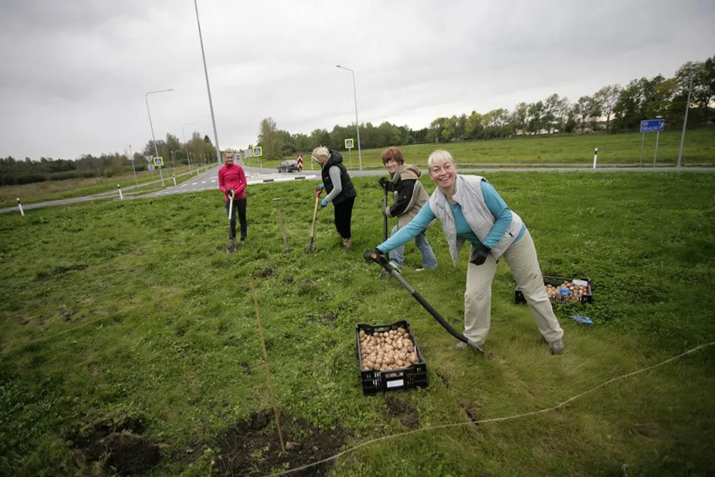 Osaühingu Elise Aed juht Reelika Marrandi (ees) loodab, et kevadel, kui Kirna ringristmikule istutatud tulbid õitsevad, rõõmustab nende ilu paljusid.