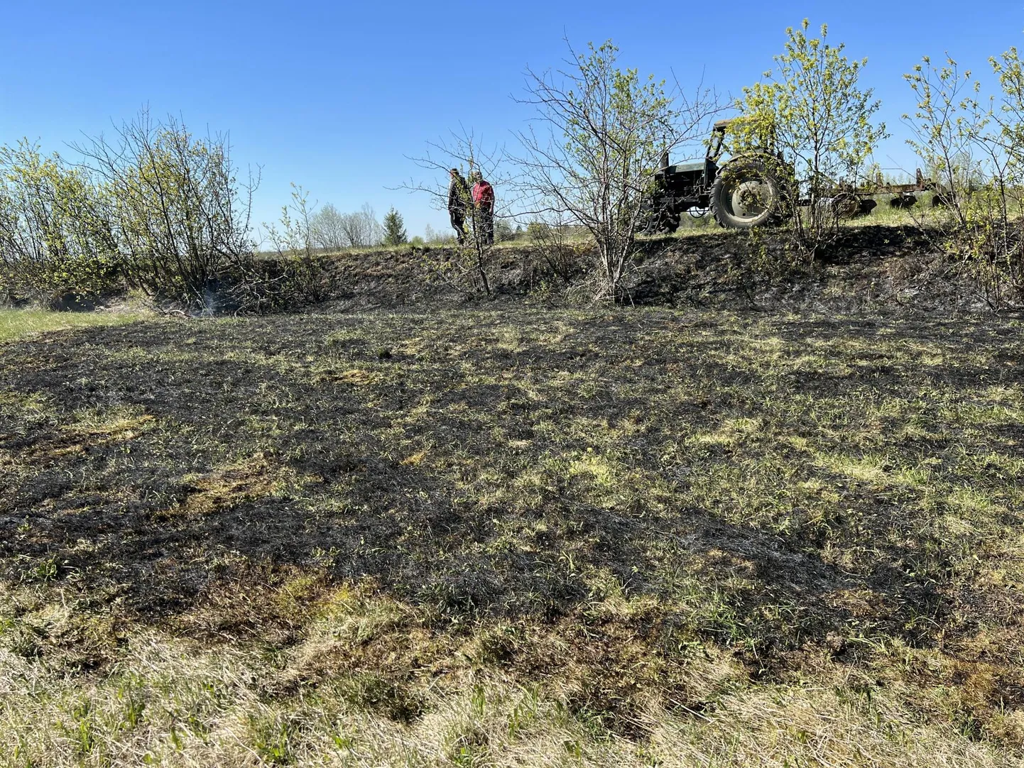 Sädemest süttinud kulu lõõmas umbes 80 ruutmeetri suurusel alal.