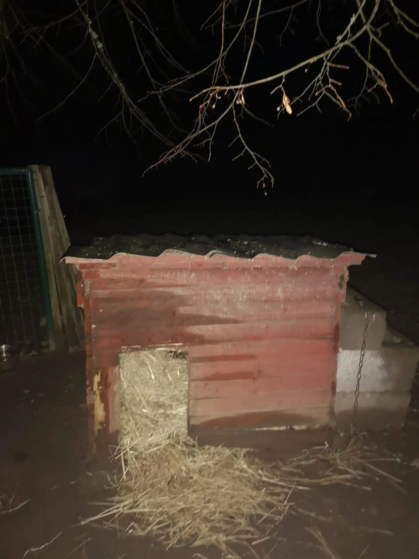 Kuut, kus Helju koos kutsikatega elama pidi.