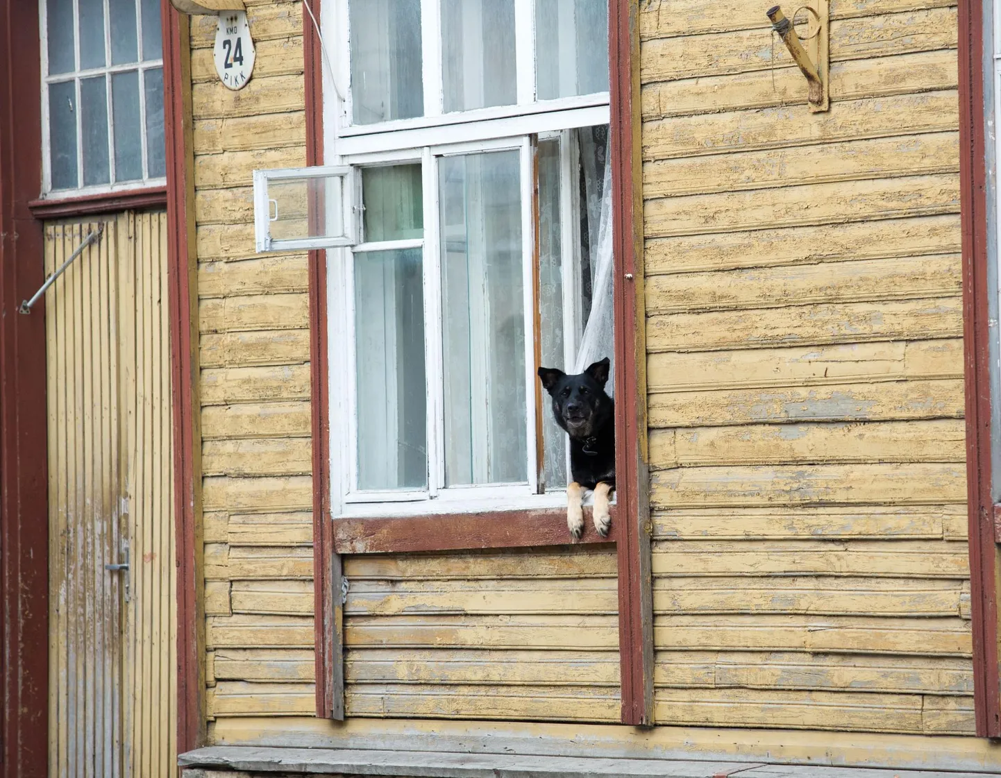 Korteriühistud saavad KIK-ilt taotleda toetust biomassil või fossiilkütustel töötava või elektrikütet kasutava kütteseadme asendamiseks taastuvat kütust kasutava seadmega.