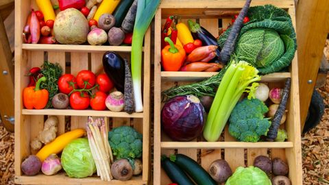 Müüt või tõde: värsked köögiviljad on toitvamad kui külmutatud?