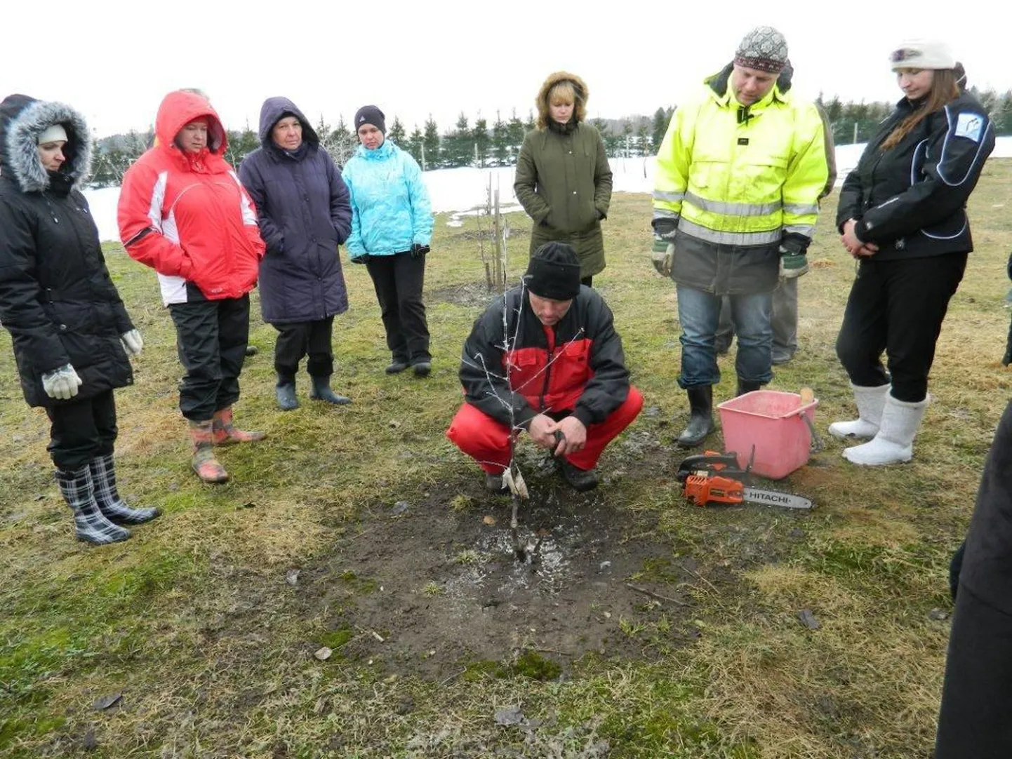 Õunapuude lõikamise õppepäev Ambla valla Rebase talus