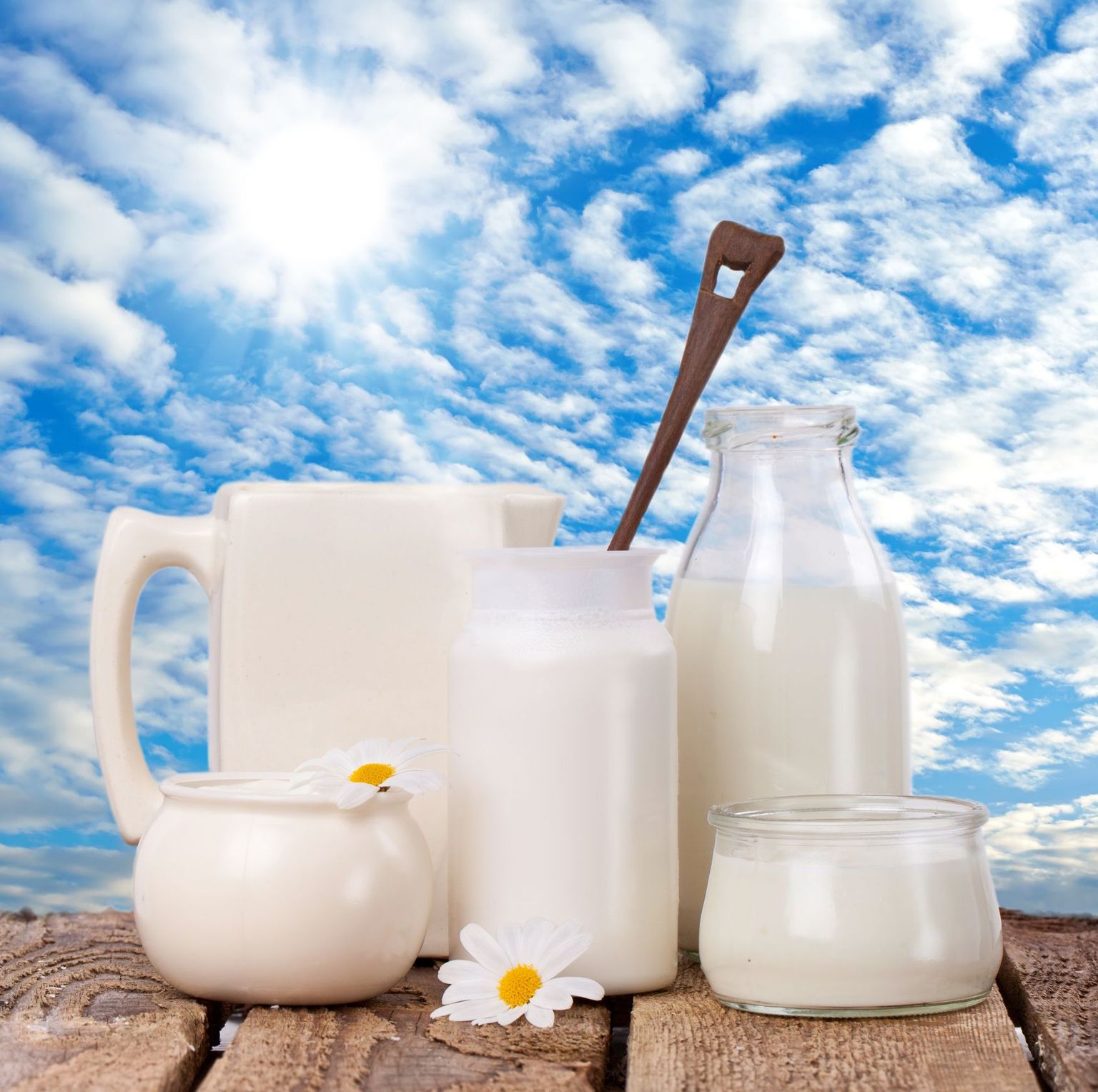 Piimal ja piimatoodetel on oluline koht eestlaste toidulaual.