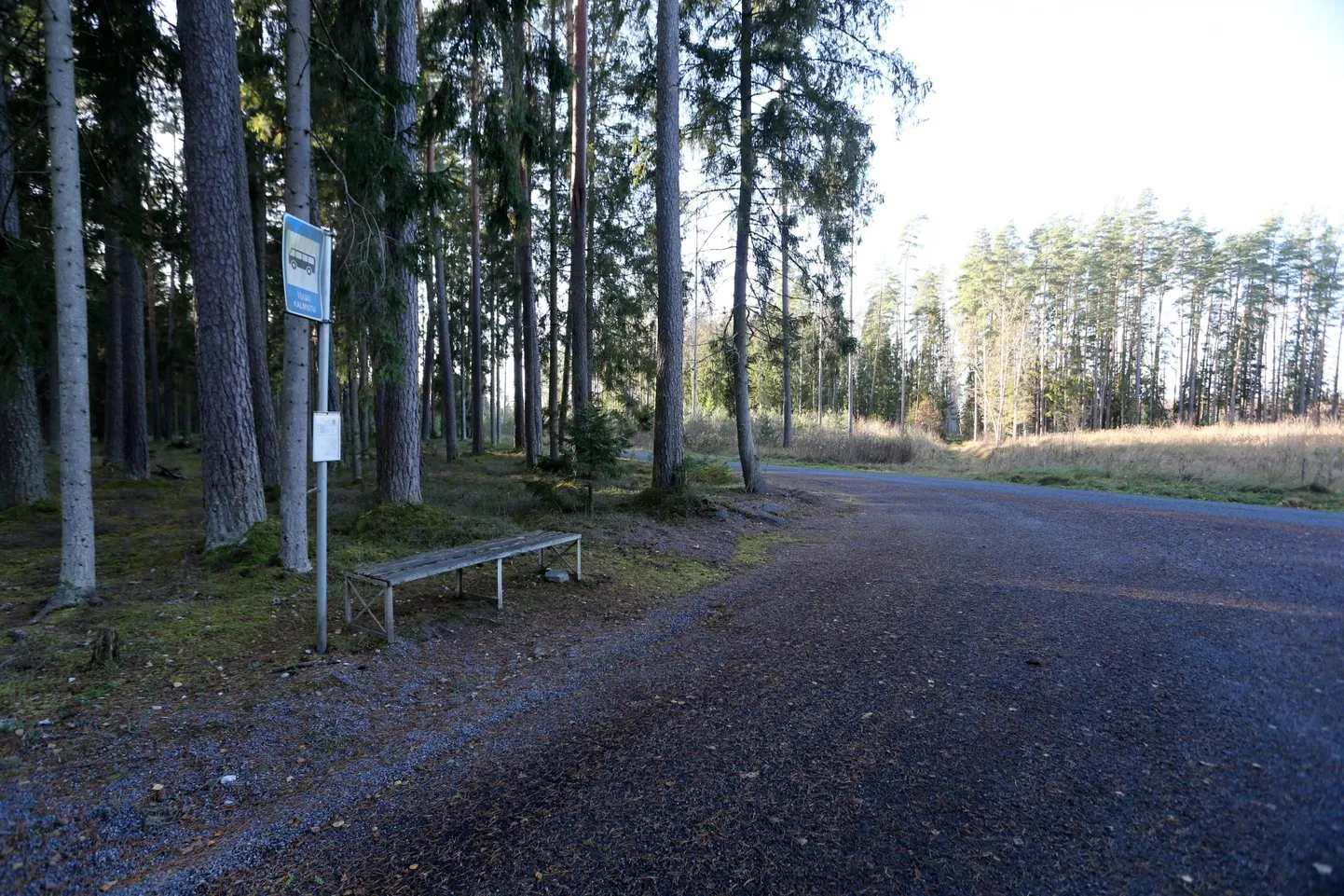 Tartu linna ning Kastre ja Kambja valla rahaga sai lõpuks korda Tuigo kalmistule viiv tee.