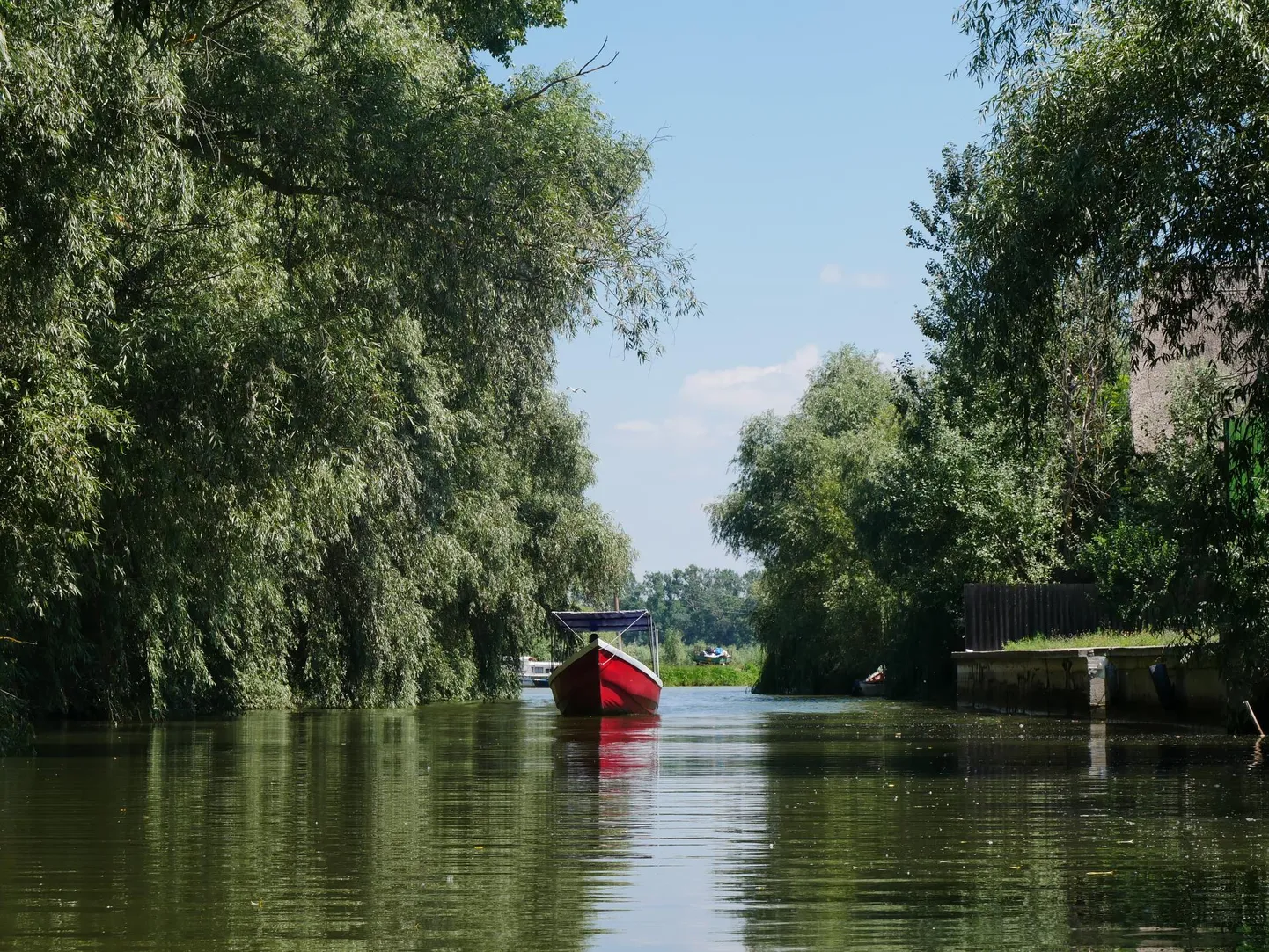 Murighioli juures läheb delta jõgedele mitu paadikest, kuid lõpuks kaovad kõik veeharude rägastikku ära.