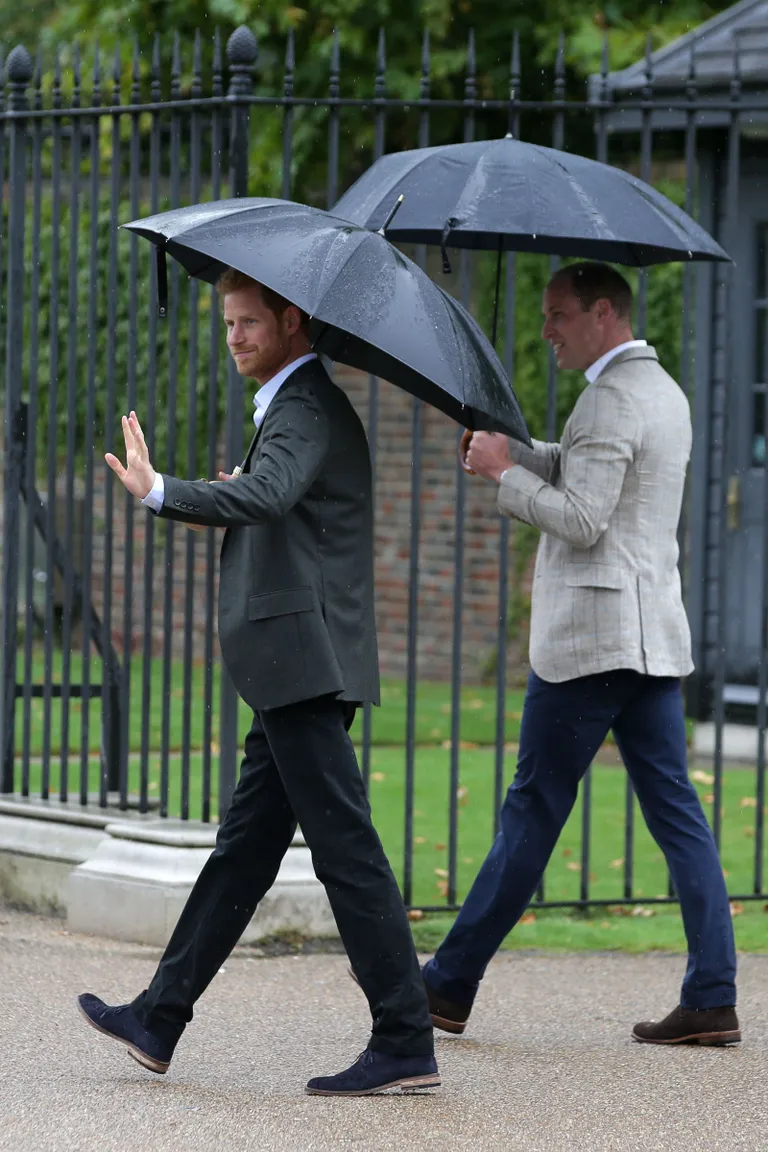 Printsid Harry ja William