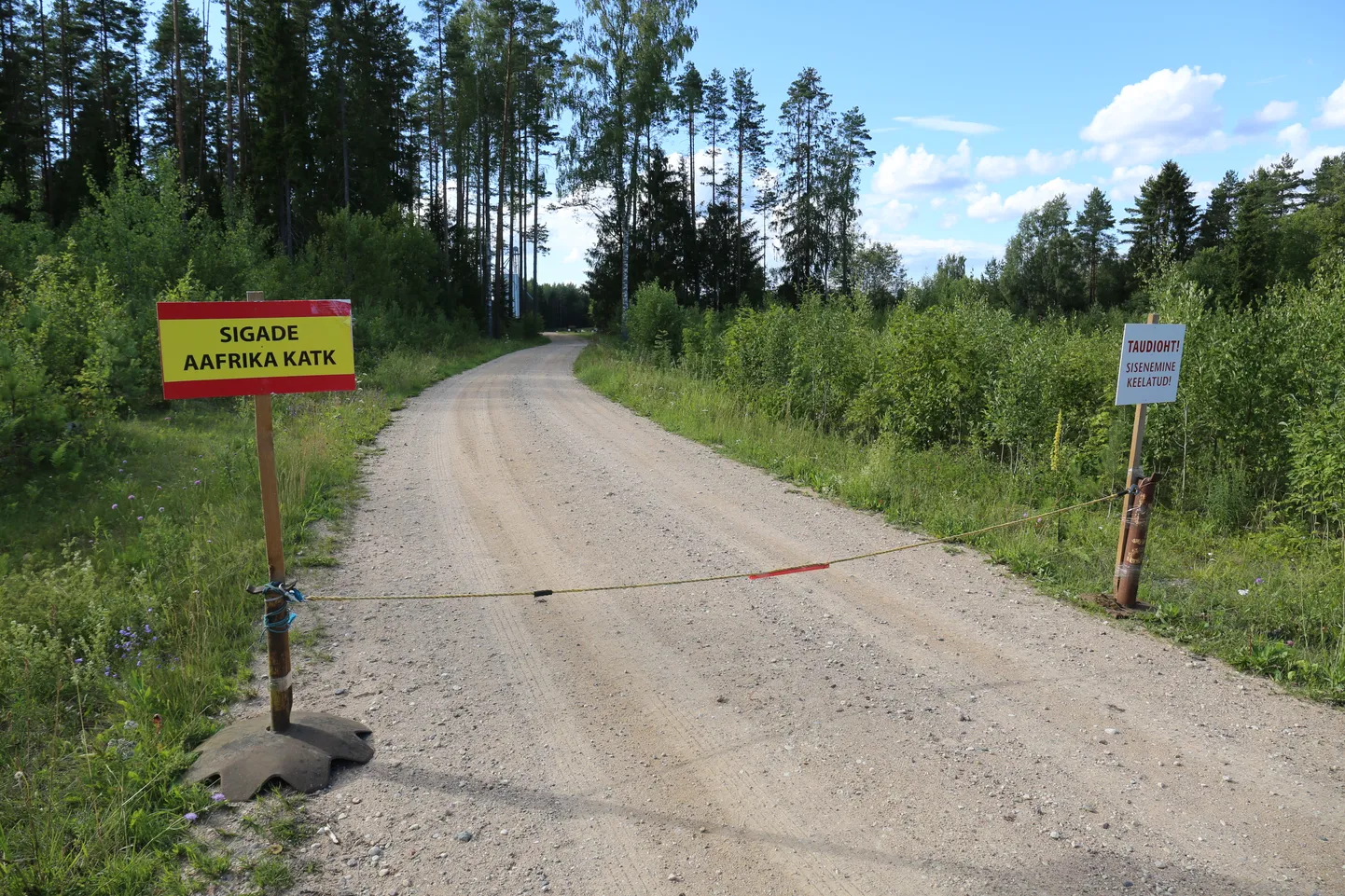 Siberi talu sissesõidutee oli neljapäeva õhtul suletud.