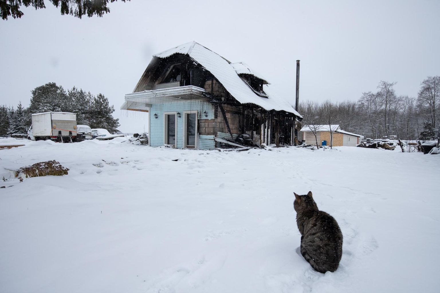 Kass Suslik vaatas nukralt maja poole ja käis söestunud katlaruumis oma endist sooja lemmikpaika otsimas.