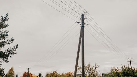 Elektriliinid süütasid maastiku