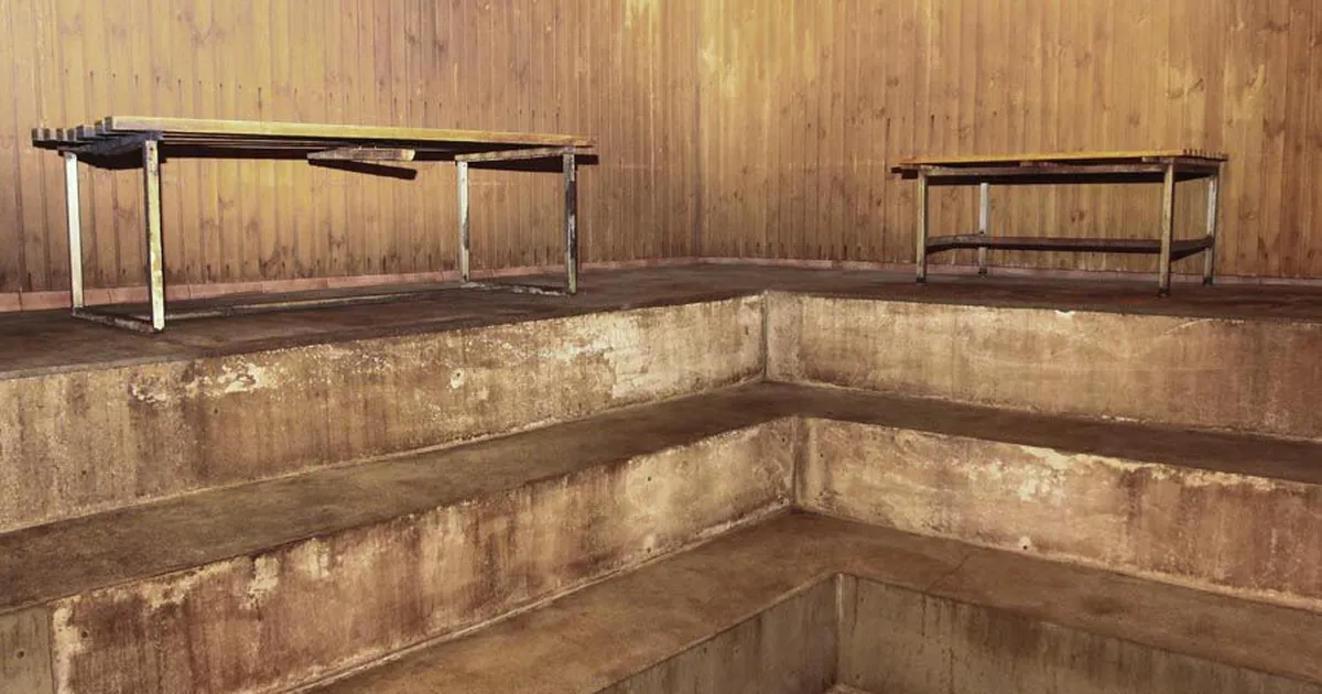 Jinsiy olatni va jinsiy aloqada toplar