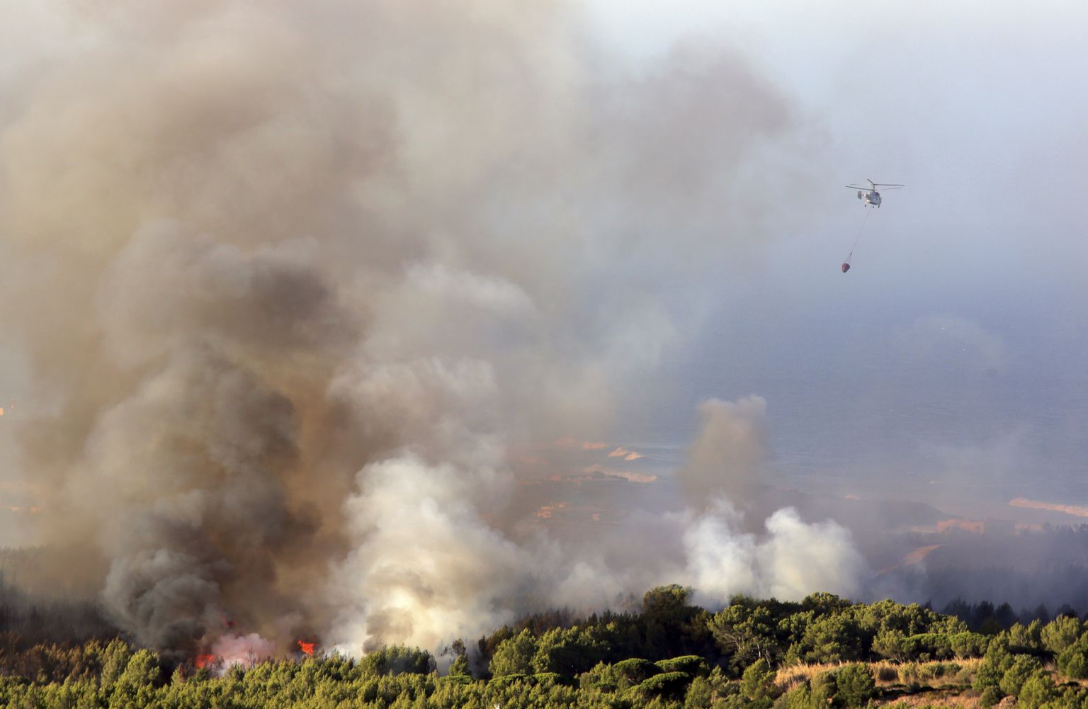 Tuletõrjehelikopter lendamas üle põlenguala Charnecas Sintra rahvuspargis Lissabonist läänes.