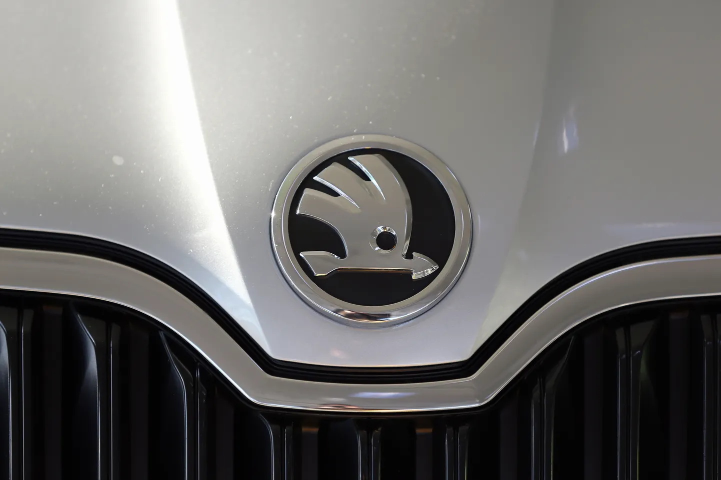 Логотип Skoda.