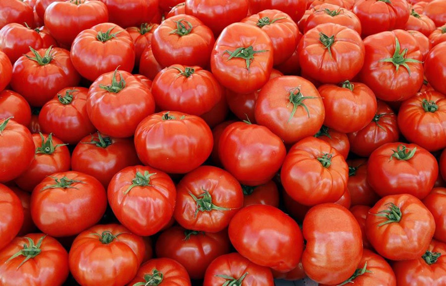 Tomatid saavad tänu oma tervistavatele omadustele üha rohkem kiita.