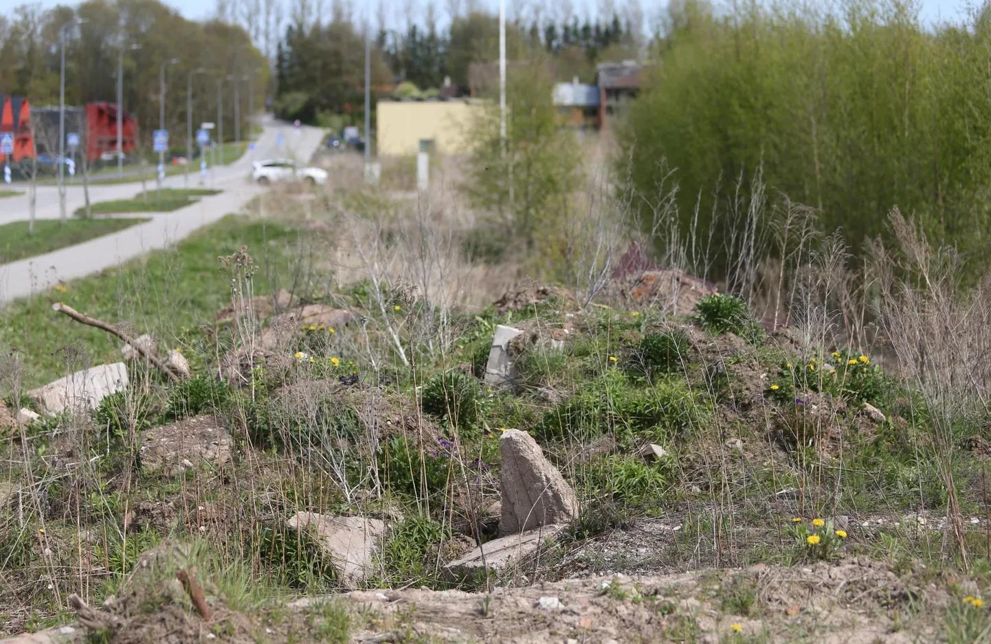 Tartu üks kuumemaid elamuehituspiirkondi on Kvissentali, kus Meruski tänava äärne võserik asendub peagi elamutega.