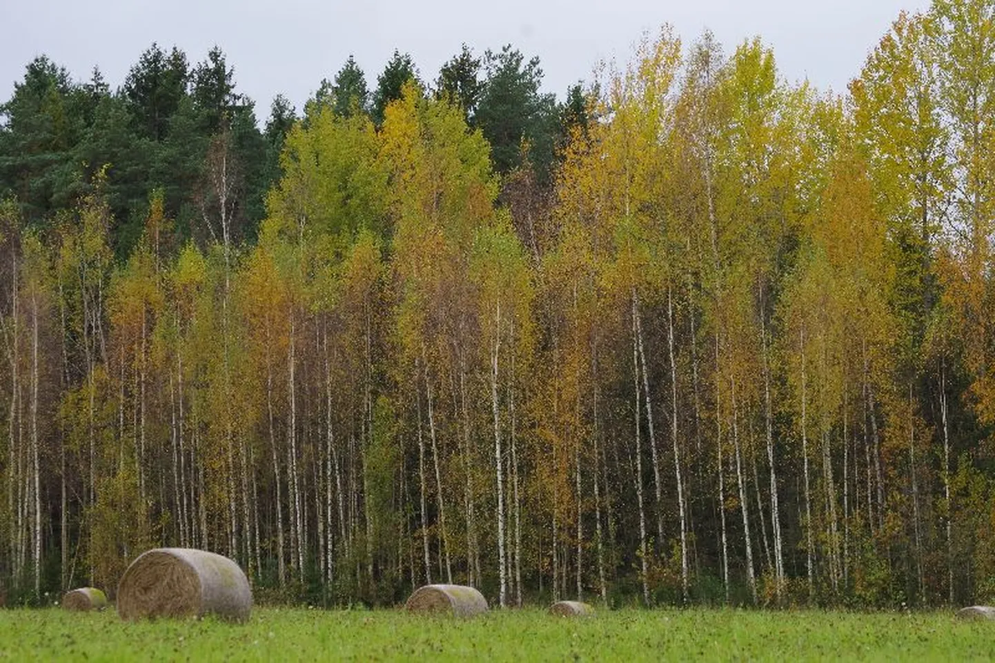 Sügis Võrumaal.