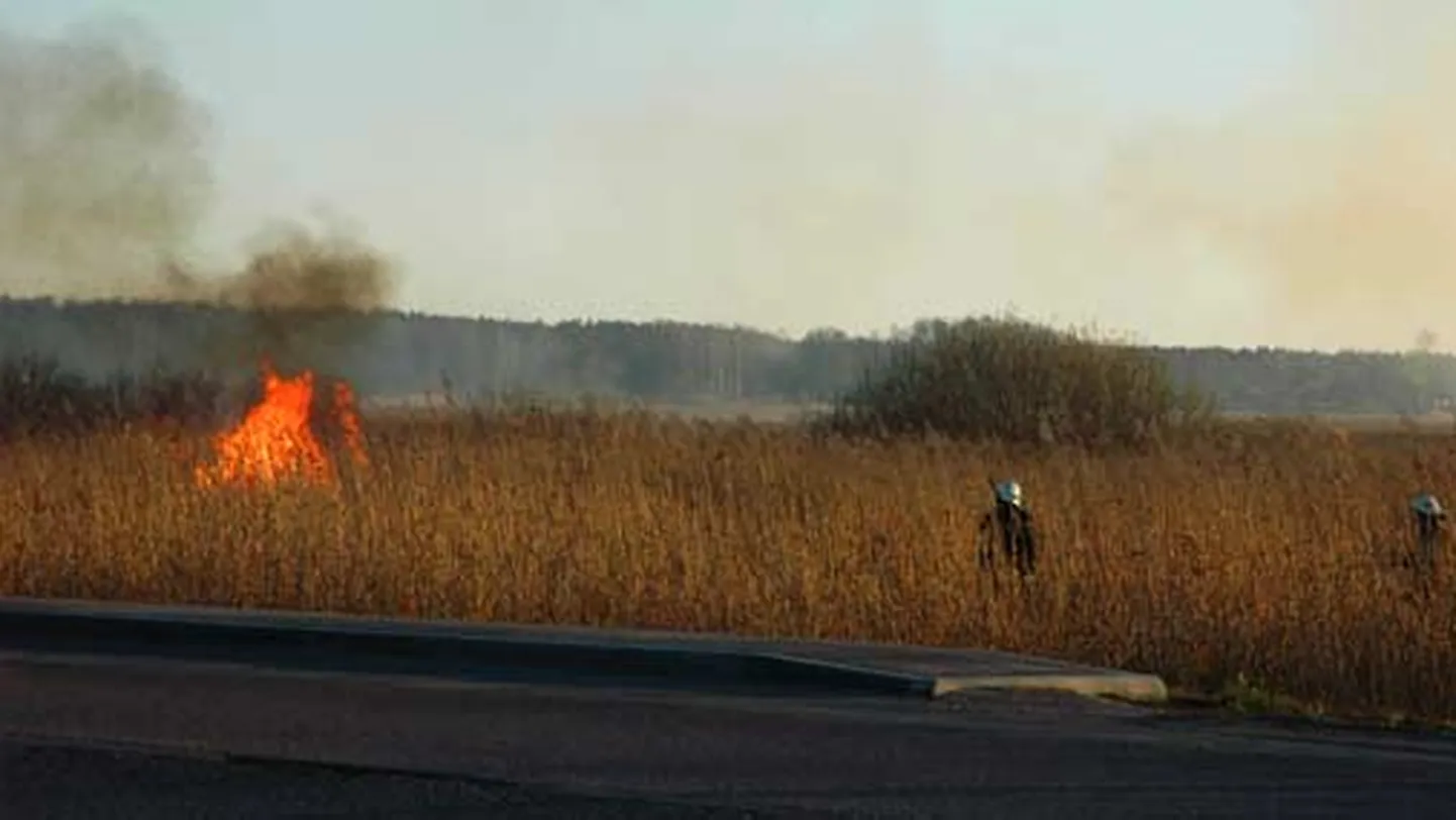 Raksta foto