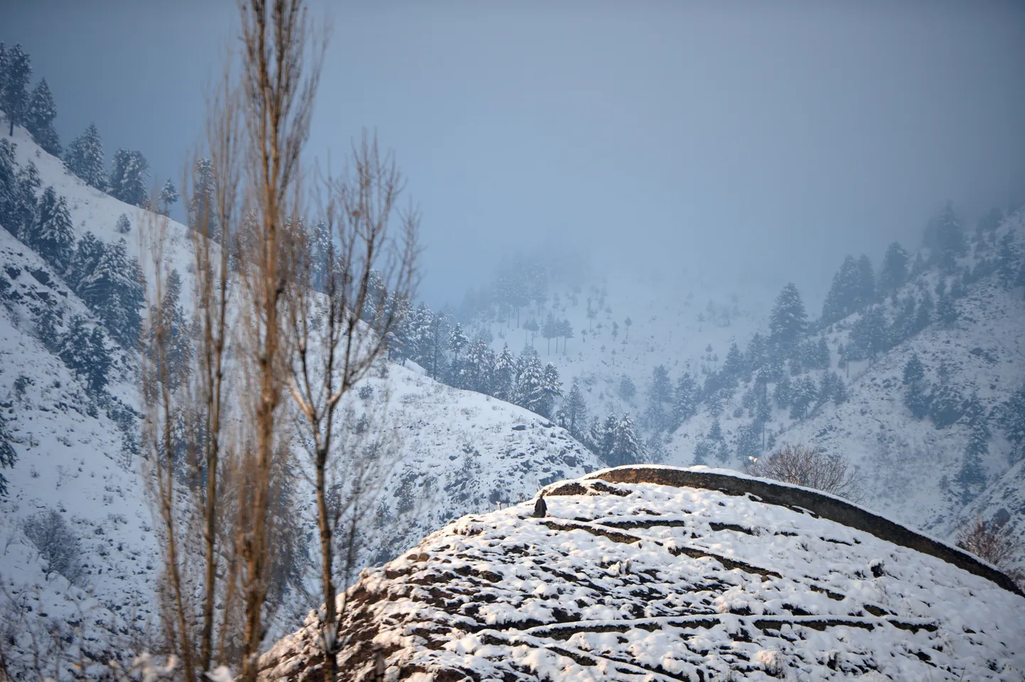 Vaidlusalune Kashmiri piirkond.