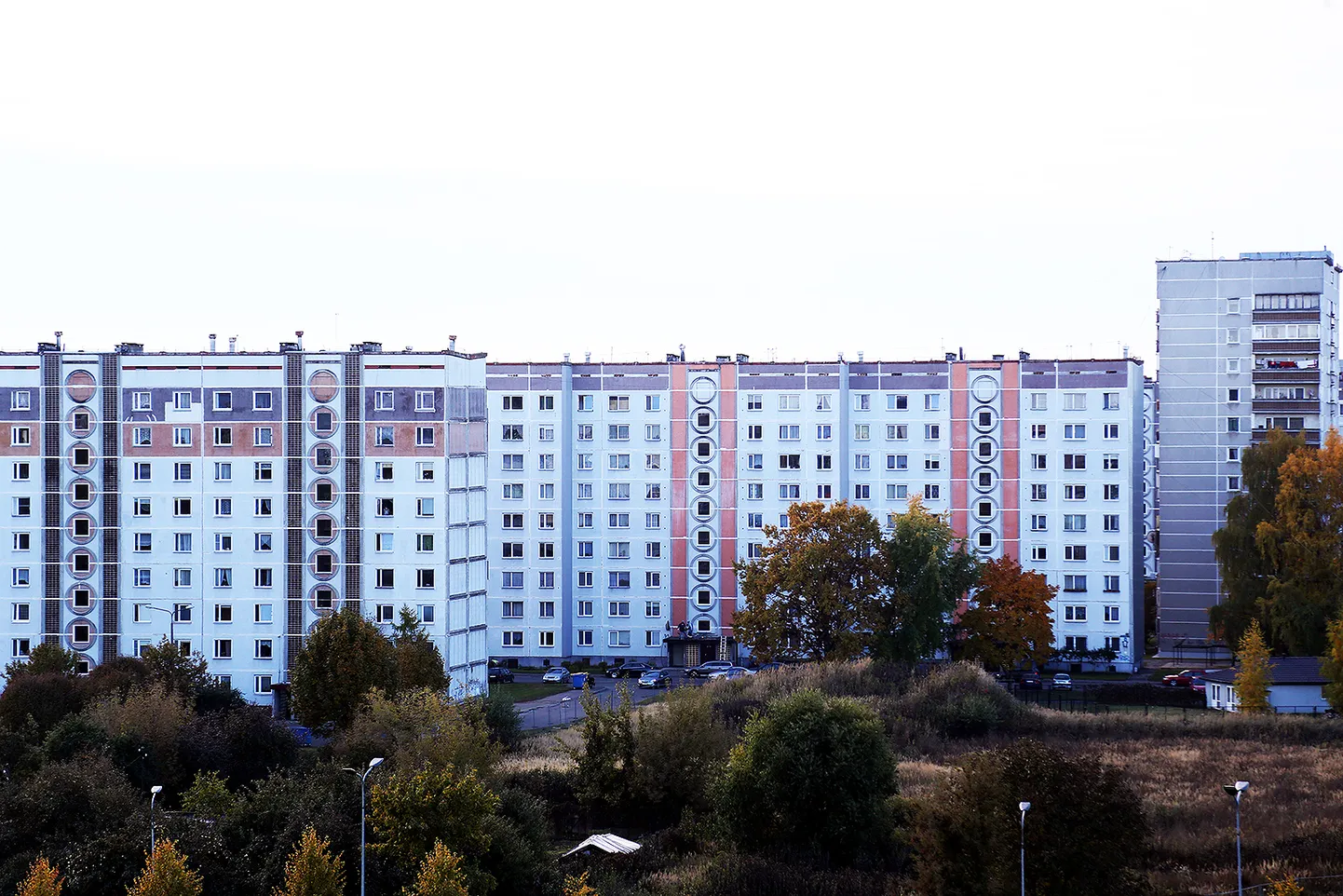 Фото статьи
