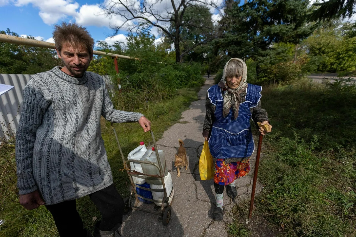 Kaevur Sergei teel koju, käsil kuues veering. Kolm kilomeetrit on veel läbida. Kõrval läheb oma teed vanem daam koerakesega. Pommitamise all linna on jäänud veel palju rahvast.