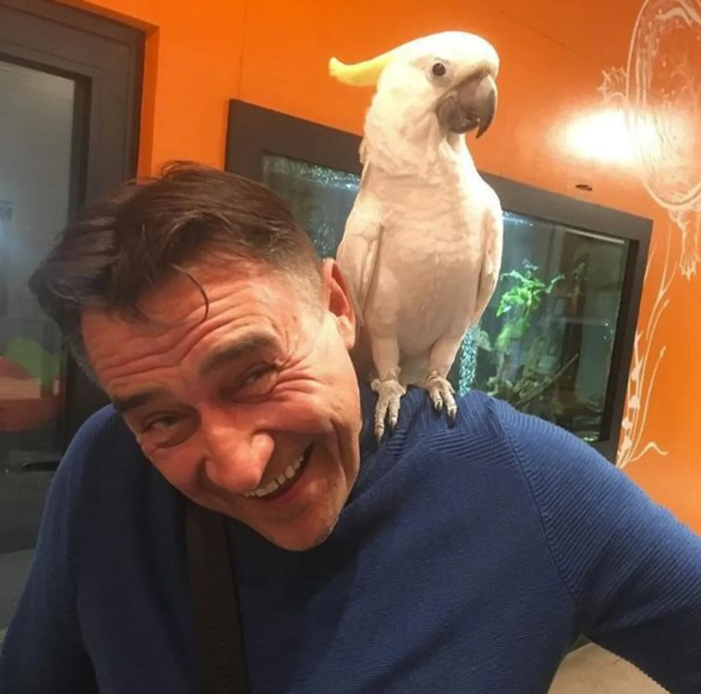 Камиль Ларин