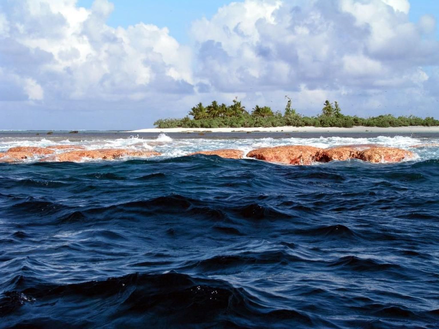 Tühjalt saarelt leiti seitse merehädalist