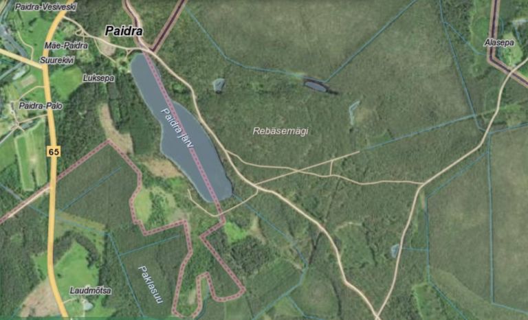 RMK metsateede võrgustik Võrumaal Paidra kandis (Võru-Räpina maantee ääres).
