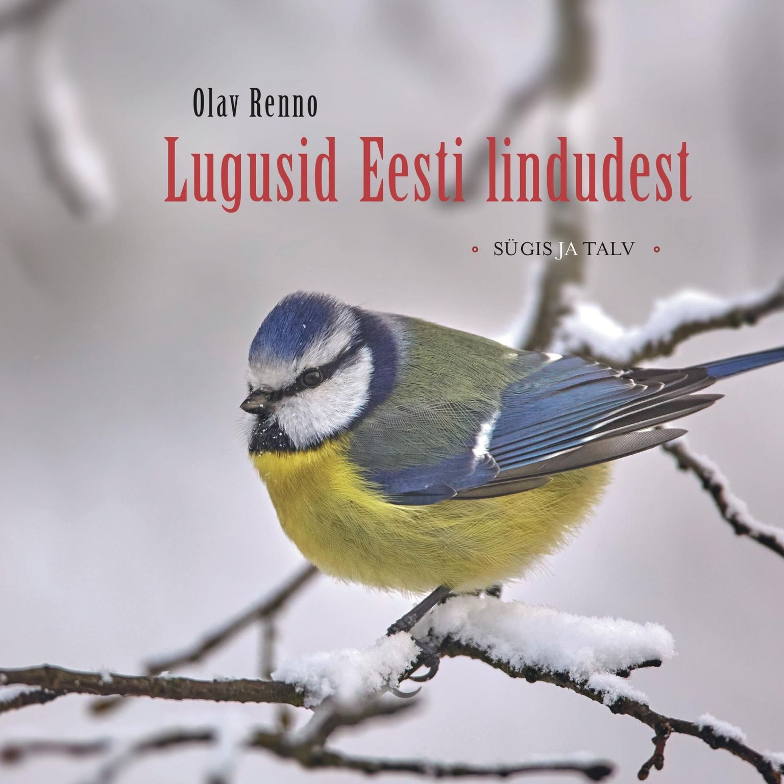 Sügistalvises raamatus tutvustab linnuteadja rohkem kui 70 lindu, kelle toimetamist on põnev jälgida just sügiskuudel või juba lume saabudes.