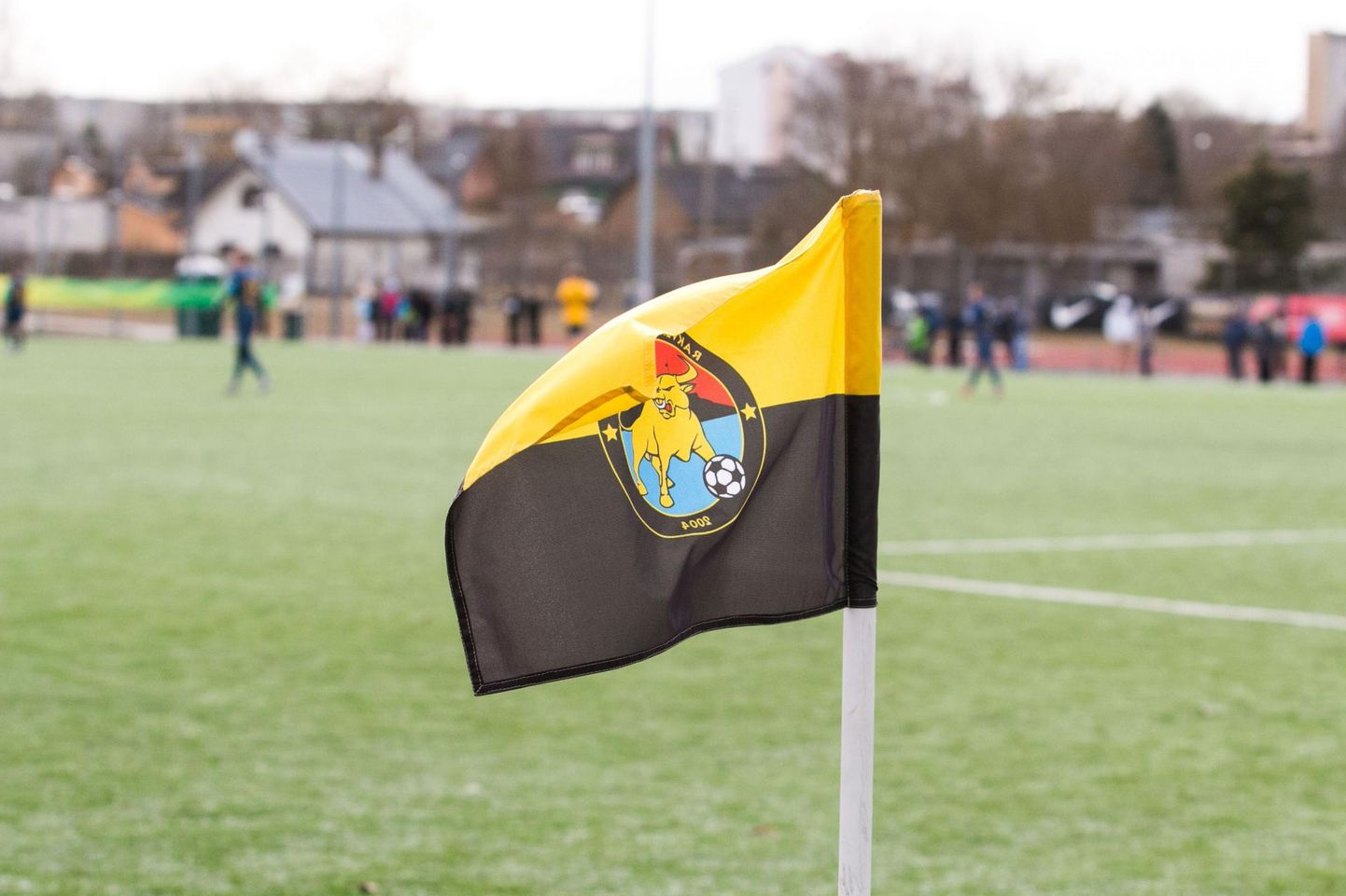 Rakvere jalgpalliklubi Tarvas kollased ja mustad värvid on sellel hooajal esindatud riigi esivõistlustel jalgpallis nii meeste kui ka naiste konkurentsis.