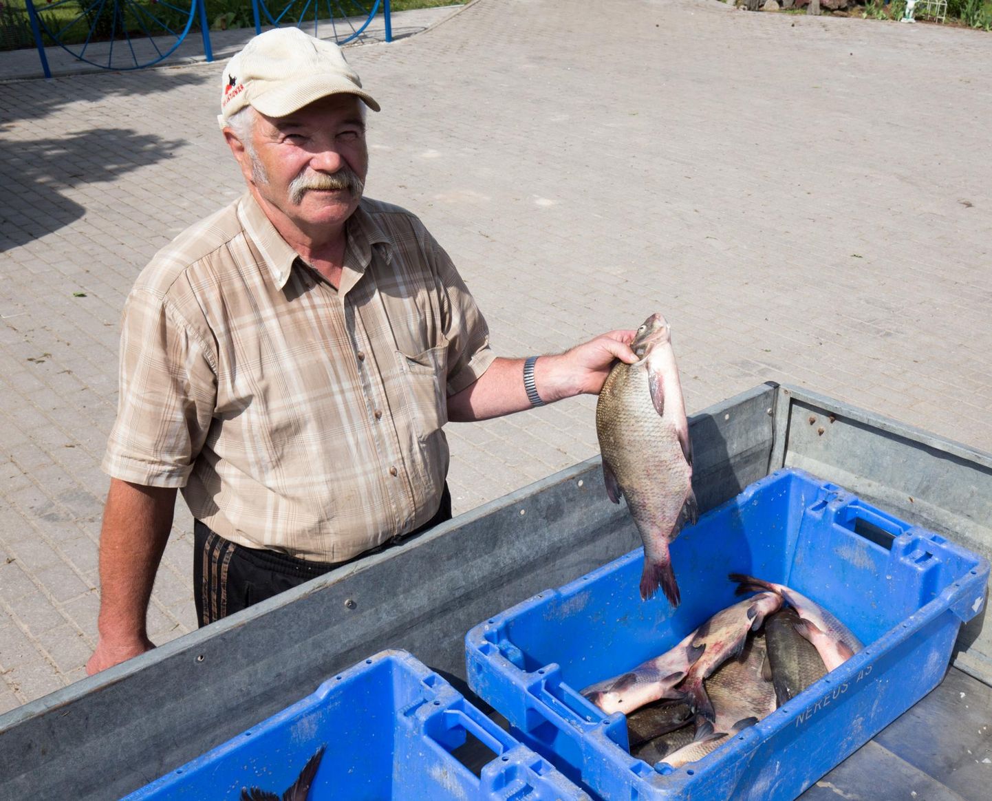 Valma külas elav Võrtsjärve kalur Leo Aasa ütles, et kokkuostjad maksavad latikakilo eest 2,30 eurot.