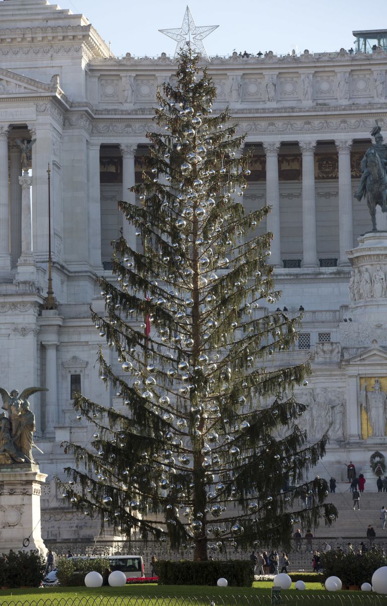 Roomlaste arvates näeb nende hõre jõulupuu välja nagu WC-hari