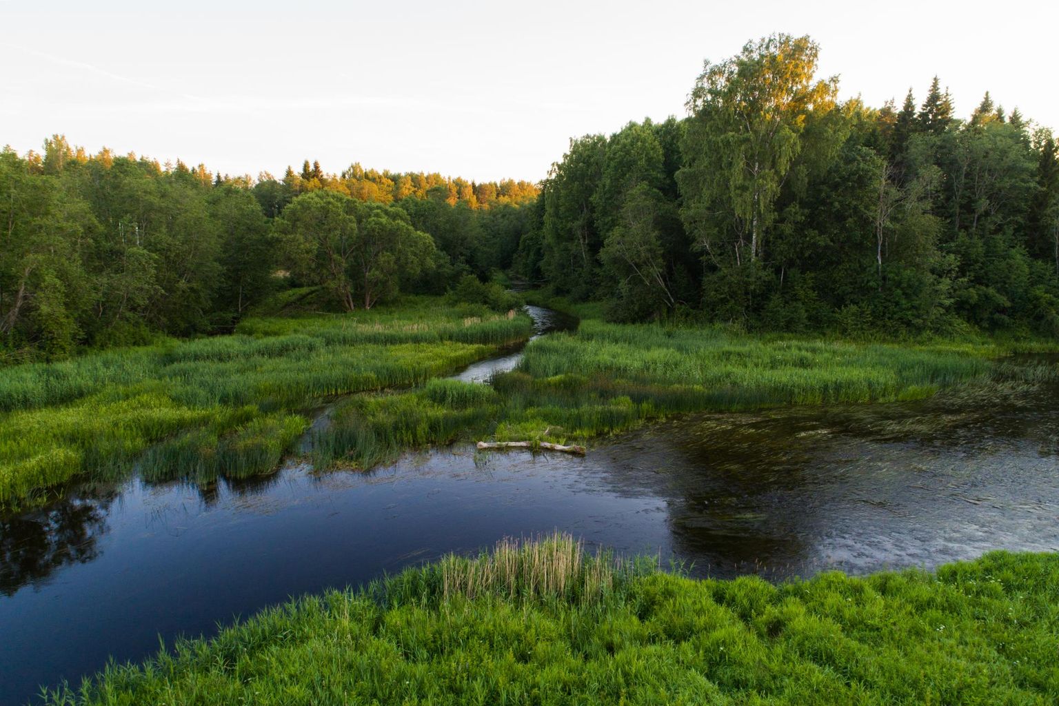 Pärnu jõgi.
