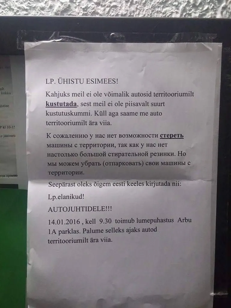 Фото статьи