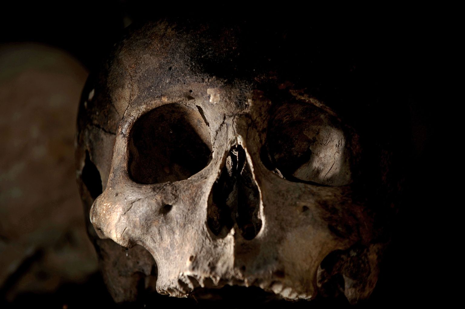 Arheoloogid: keskajal peeti katkuhaigeid vampiirideks