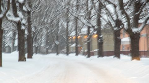 Среда в Эстонии выдастся ветреной и снежной