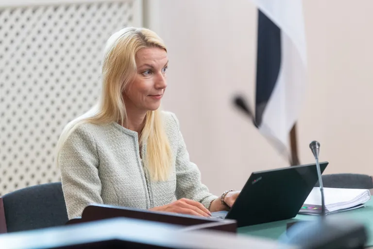 Sõnajalgade advokaat Silja Holsmer