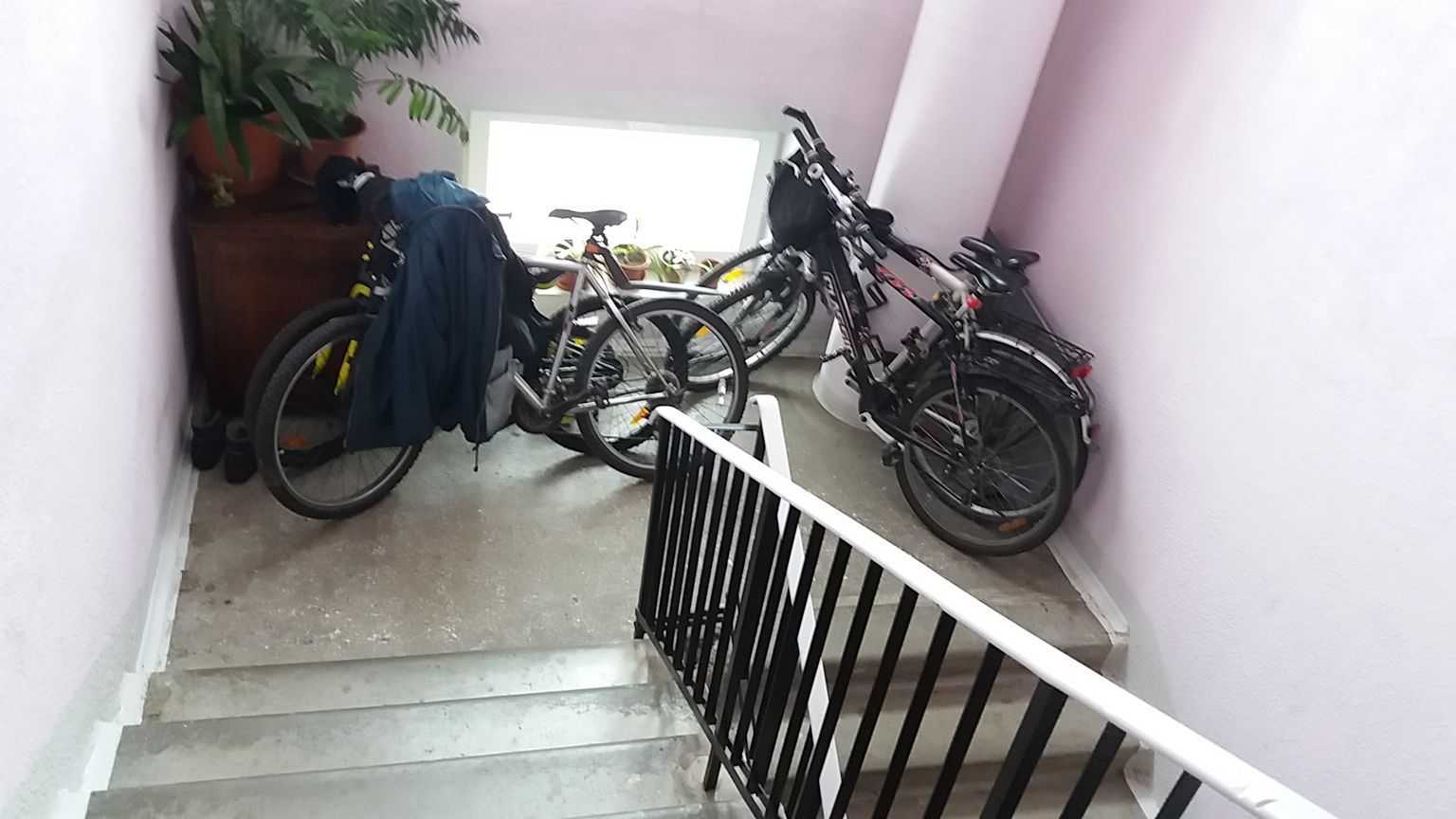 Tihti hoitakse kortermaja koridoris nii jalgrattaid, lapsevankreid kui lilli.