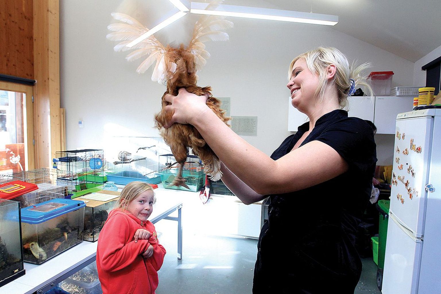 Tartu loodusmajas saab koolivaheajal muu hulgas loomadega lähemalt tutvuda. Pildil lehvitab loodusmaja õpetaja Maris Mägi käte vahel tiibu kana, keda piidleb Laura Lepperk.