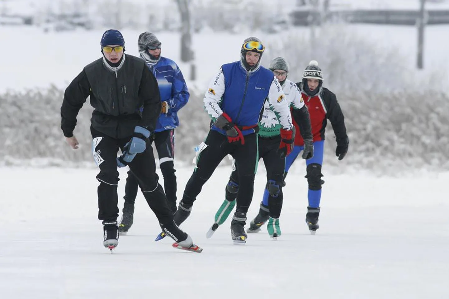 Mulgi uisumaraton.
