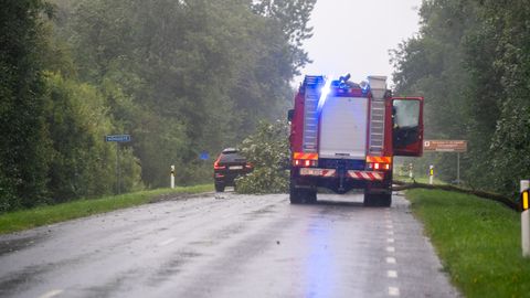 Päästjael oli töine öö, sest torm murdis puid