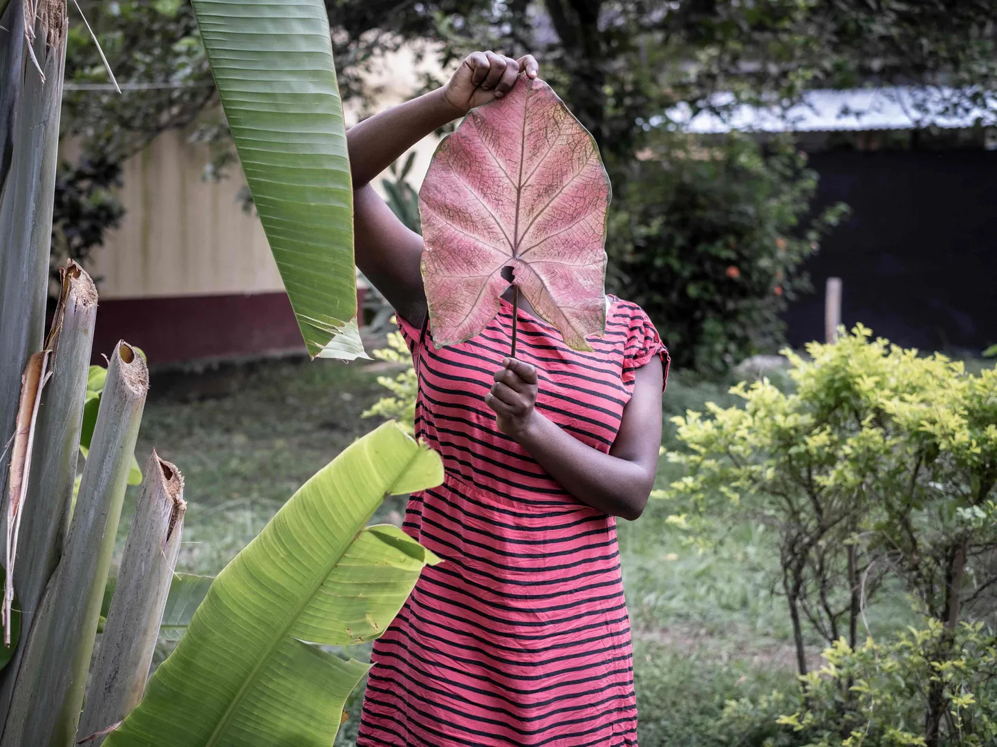 Seksuaalrünnaku ohvriks langenud 15-aastane Kesk-Aafrika Vabariigi neiu varjab lehega oma nägu, poseerides uudisteagentuuri AFP fotograafile riigi pealinnas Banguis.