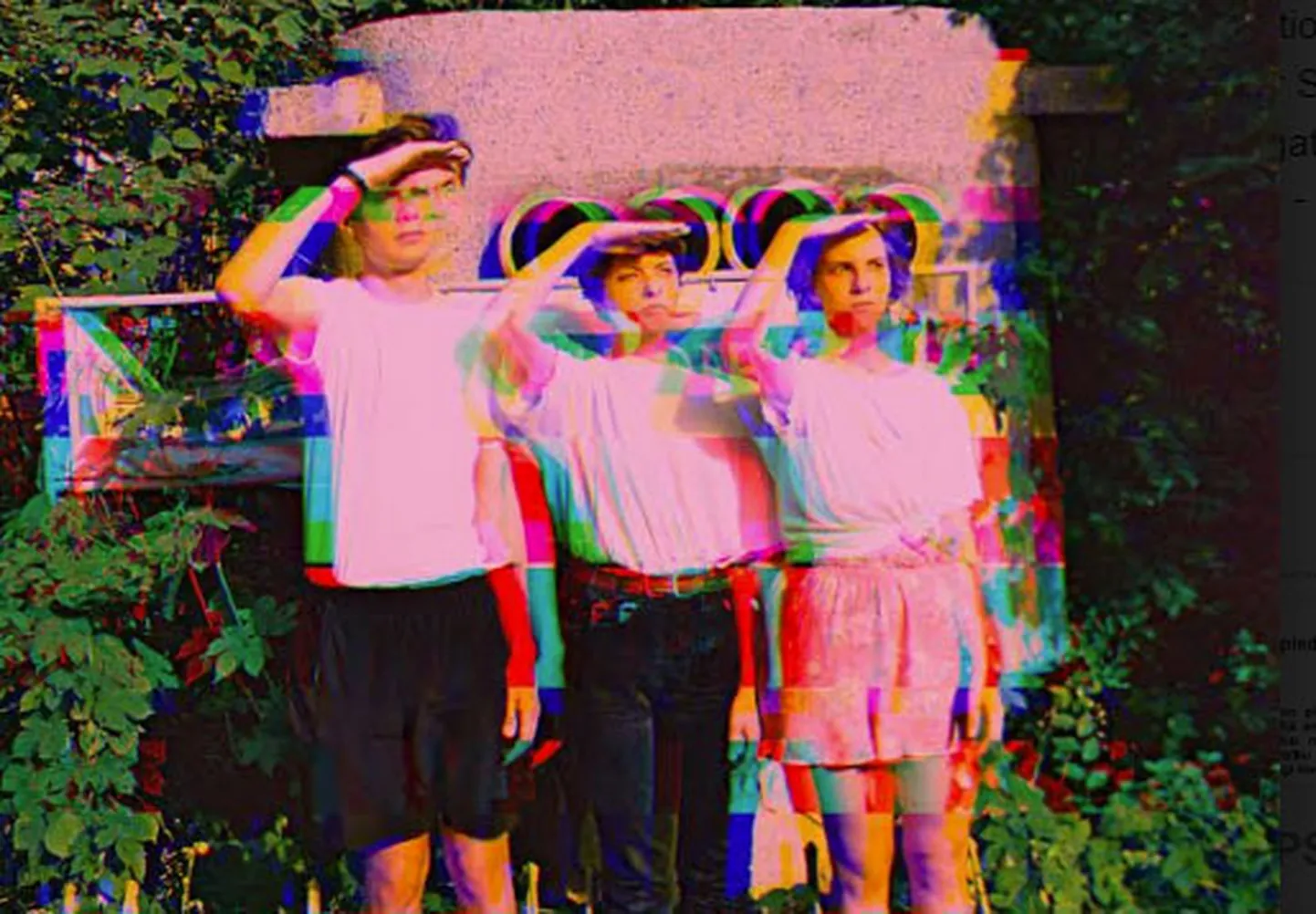 Raksta foto