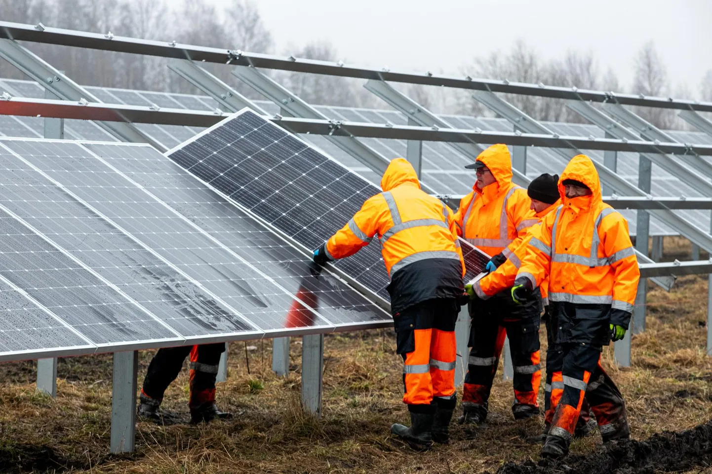 Sauga lähedal lennuvälja külje all käib päikeseelektrijaama ehitus hoogsalt.