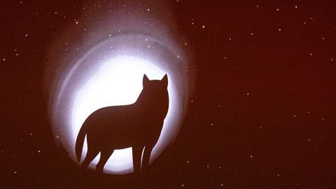 PÖFF kutsub külastajaid jagama mälestusi festivalist